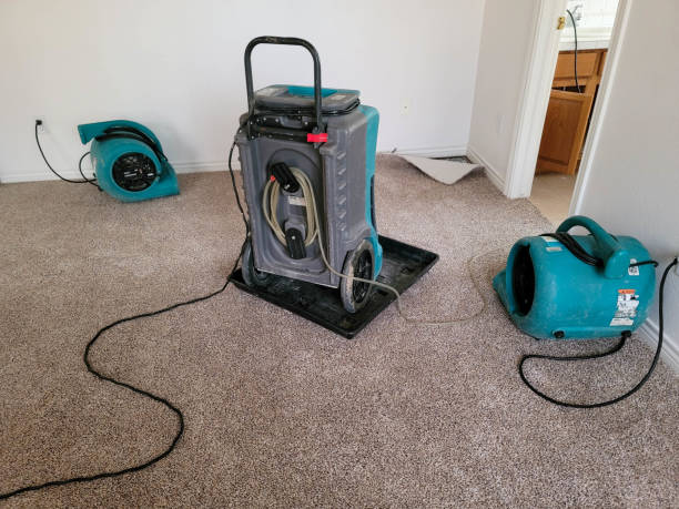 Best Water damage restoration company  in Marmet, WV
