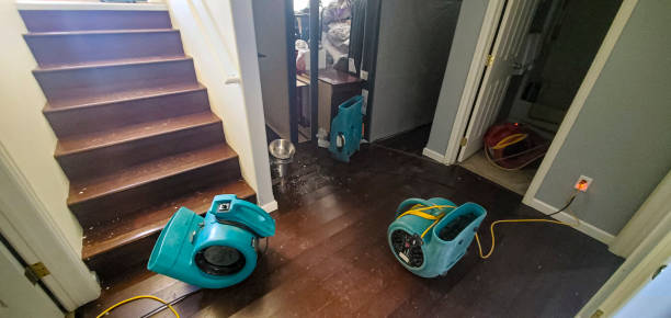Best 24/7 water damage repair  in Marmet, WV