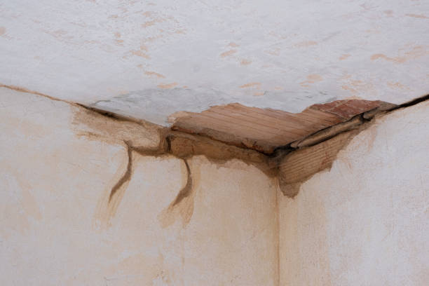 Best Sewage cleanup and water damage restoration  in Marmet, WV