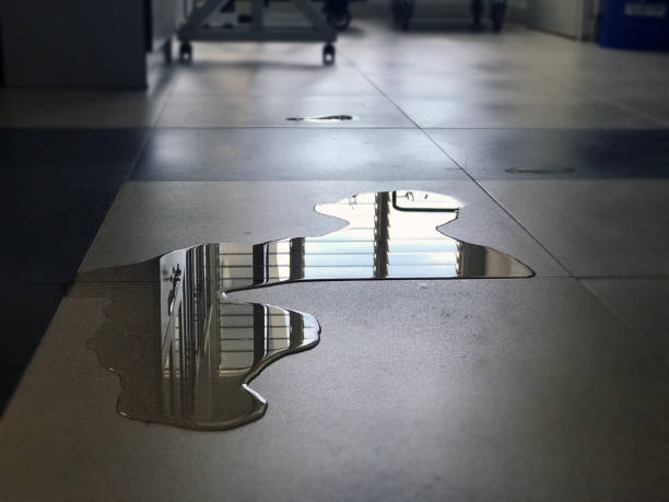 Best Water damage repair service  in Marmet, WV