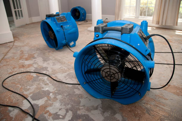 Best Water damage repair service  in Marmet, WV
