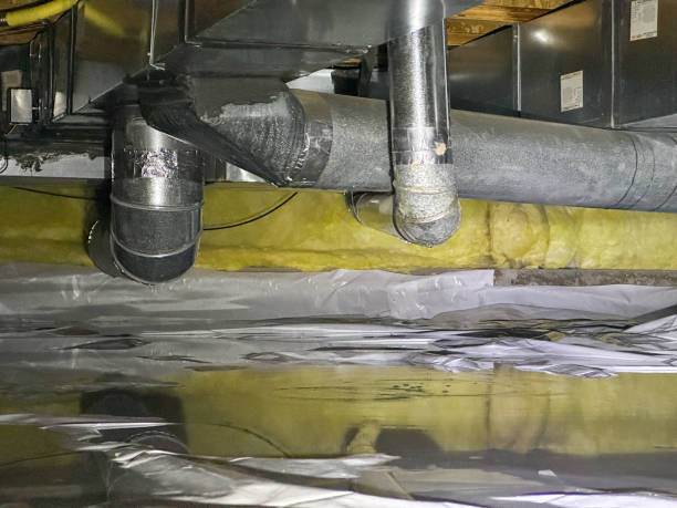 Best Professional water damage repair  in Marmet, WV