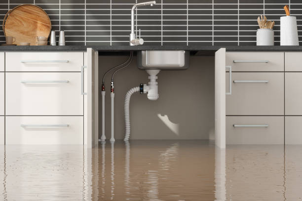 Best Sewage cleanup and water damage restoration  in Marmet, WV